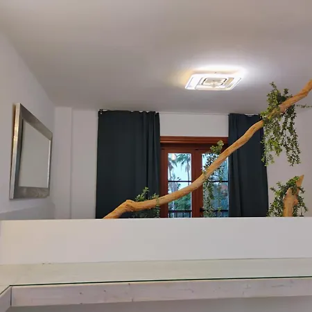 Royal Vista Mar * Плая-де-лас-Америкас